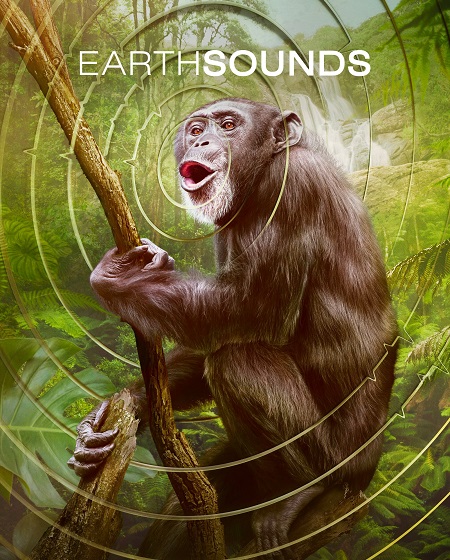 مشاهدة مسلسل Earthsounds الموسم الاول الحلقة 11 مترجمة