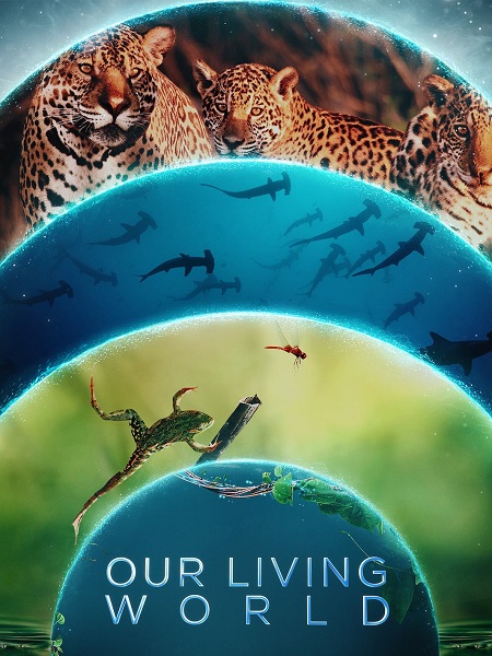 مشاهدة مسلسل Our Living World الحلقة 2 مترجمة