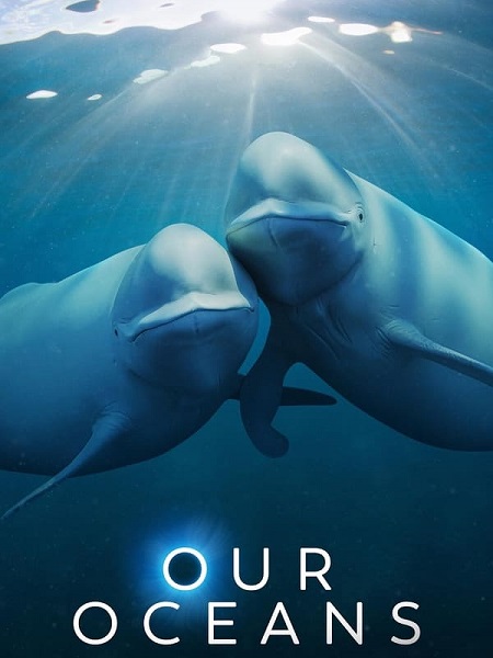 مشاهدة مسلسل Our Oceans الحلقة 3 مترجمة